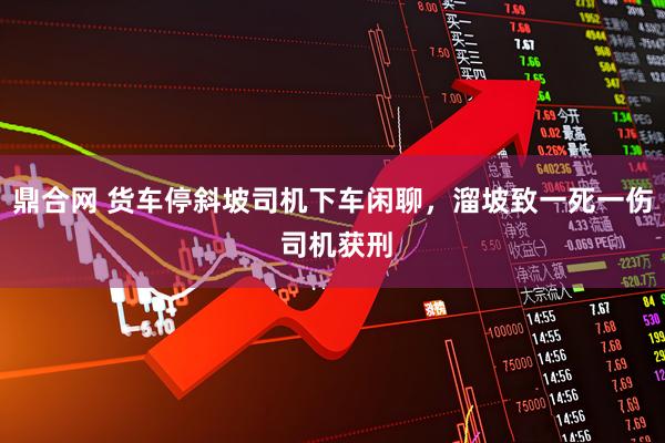 鼎合网 货车停斜坡司机下车闲聊，溜坡致一死一伤 司机获刑