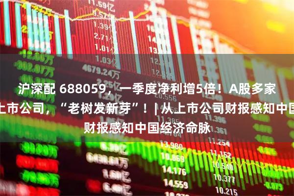 沪深配 688059，一季度净利增5倍！A股多家传统产业上市公司，“老树发新芽”！| 从上市公司财报感知中国经济命脉