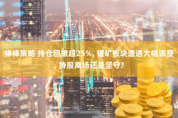 棒棒策略 持仓回撤超25%, 锂矿板块遭遇大幅调整, 持股离场还是坚守?