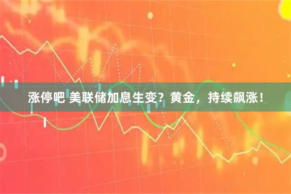 涨停吧 美联储加息生变？黄金，持续飙涨！